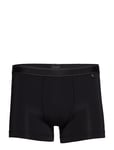 Low Rise Shorts Black Schiesser