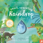 Small, Sparkling Raindrop  A factfilled picture book about the water cycle with a large foldout (ages 48)