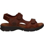 Sandales Panama Jack  SALTON BASICS C4