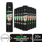 Lynx XXL Body Spray 48-H High Definition Fragrance Deodorant for Men 250ml, 30pk