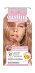 L'Oréal Paris Coloration intensive, pour tous les types de peau, sans ammoniaque ni silicone, couvre les cheveux gris, Casting Natural Gloss N° 823 Blond latte clair (blond)