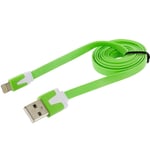 Cable pour IPHONE 11 Pro Max Noodle Chargeur Lighting Usb APPLE 1m - VERT