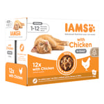 36 + 12 på köpet! 48 x 85 g IAMS våtfoder katt - Delights Kitten: Kyckling i sås