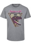 Urban Classics Jurassic Park Pink Rock Tee (heather grey,XL)