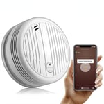 Détecteur de fumée WiFi capteur d'alarme réseau de fumée fonctionne avec l'application Tuya Smart Life