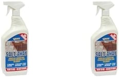 Everbuild Salt Away Spray | Salt Remover & Unsightly White Efflorescence from Bricks, Stone and Concrete - 1 Litre (Pack of 2)