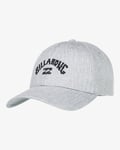 Billabong Arch Snapback cap grey