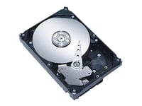 CoreParts - Disque dur - 250 Go - interne - 3.5" - SATA 3Gb/s - 7200 tours/min - pour HP Workstation xw4300, xw4400, xw4600, xw6400, xw6600, xw8400, xw8600, z400, z600, z800