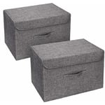 Lot de 2 Boites de Rangement Lavable, Rangement de Vetement Pliable, Caisse de Rangement en Tissu avec Couvercles et Poignées pour Maison, Bureau,