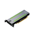 Grafikkort HPE NVIDIA Tesla T4 16 GB GDDR6