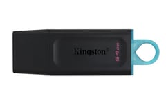 Kingston Datatraveler Exodia 64gb Usb Type-a Sort, Turkis