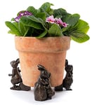 Potty Feet Beatrix Potter Lot de 3 Figurines Peter Rabbit Pieds de Pot de Fleurs – Support de Pot – Ornements décoratifs Faits à la Main