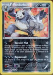 Carte Pokémon 75/122 Pandarbare 120 Pv - Reverse Xy09 - Rupture Turbo Neuf Fr