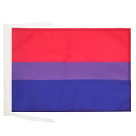 AZ FLAG Drapeau Bisexuel 45x30cm - PAVILLON bisexuel - Arc en Ciel - Rainbow 30 x 45 cm Haute qualité