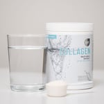 3 x Kollageeni - 400 g - Naturell - XLNT Sports Collagen - Kollageenijauhe