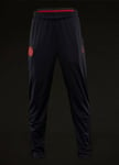 Nike PSG x Jordan Boy’s Football Joggers - Age 10-11 (Medium) - New AQ0976 657