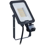 Ledinaire Floodlight Small w/sens BVP167 3600lm/830-840-865 30W Sym