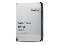 Synology - Hårddisk - 20 Tb - Intern - 3,5"