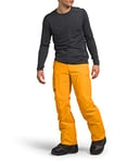 THE NORTH FACE Pantalon Freedom Summit Gold M