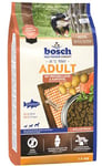 bosch HPC Adult au saumon frais et aux pommes de terre - Aliments secs pour chiens adultes de toutes races - 1 x 1 kg