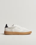 Axel Arigato Dice T-Tone Sneaker White/Gum