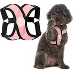 Gooby Choke sans Confort x Step-in Harnais pour Chien, Rose, Taille M