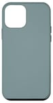 Coque pour iPhone 12 mini Bleu riche cartographié