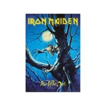 Drapeau Iron Maiden - Fear of the Dark - ref dr1iron3