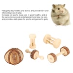 5 st/set Liten husdjur hamster trä säkerhet leksak molar tänder för kanin marsvin