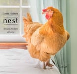 Nest  Rescued Chickens at Home