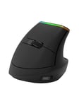 DeLUX Wireless Vertical Mouse Delux M618DB BT4.0 + 2.4Ghz 4000DPI RGB - Vertical mouse - Optical / gyroscopic - 6 painiketta - Musta