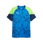 PUMA Maillot Individualcup Football Homme, Persian Blue-Pro Green