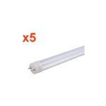 Silamp - Tube Néon led 150cm T8 50W (Pack de 5) - Blanc Froid 6000K - 8000K