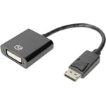 Câble de raccordement Digitus DisplayPort / dvi Fiche mâle DisplayPort, Prise femelle dvi-i 24+5 pôles 0.15 m noir DB-3