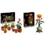 LEGO Botanical Collection Petites Plantes Icons Ensemble de Construction de Fleurs de chrysanthème - Plante Artificielle - Cadeau pour Femme, Homme, Elle ou Lui 10329 + 10368