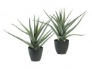 Manufacturer In Review Kunstig Plante Aloe Vera 45Cm HP26422614