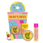 Burt's Bees Coffret cadeau pour les lèvres et les mains, baume à lèvres au fruit du dragon et citron et mini crème pour cuticules, édition limitée Spring Surprise