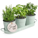 Barnyard Designs Herb Pot Planter Set with Tray for Indoor Garden or Outdoor Use, Soft Mint Metal Succulent Potted Planters, (Set of 3, 11 x 10cm Planters on 32 x 10cm Tray)