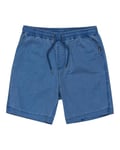 Quiksilver Short Taxer Youth Bleu 14