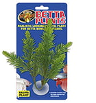 Zoomed Betta Plante Salvia pour Reptile/Amphibien