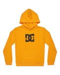 Dcshoes Pull DC Star PH Boy Enfant Orange 8/XS