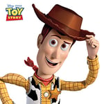 Toy Story Woody 40 x 40cm Canvas Prints, Polyester, Multi-Colour, 40x40x3.2 cm