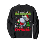 I Want A Hippopotamus For Christmas Shirt Hippo Candy Santa Sweatshirt