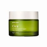 Kiinteyttävä kasvovoide Bergamo Essential Intensive Cream Cica, 50g