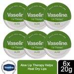  Vaseline Lip Therapy Petroleum Jelly, Aloe Vera, 6 Pack, 20gm