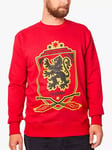 Fabric Flavours Harry Potter Gryffindor Quidditch Oversized Sweatshirt, Red