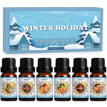 SALUBRITO Winter Essential Oils Set, Premium Holiday Fragrance Oils Gift Set for Diffuser, Home, Candle, Soap Making, Cinnamon, Gingerbread, Candy Cane, Christmas Tree, Spiced Cider, Sugar Cookies