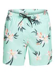 Quiksilver Short de Bain Homme,Beach Glass, XS