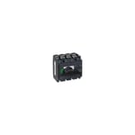 Schneider Electric - interrupteur sectionneur Interpact INS250 4P 100 a - 31101