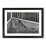 Big Box Art Bird in The Cage by Samuel De Mesquita Framed Wall Art Picture Print Ready to Hang, Black A2 (62 x 45 cm)